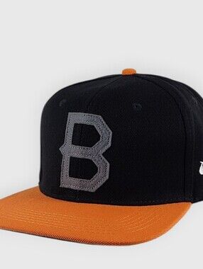 New Boost mobile snapback hat